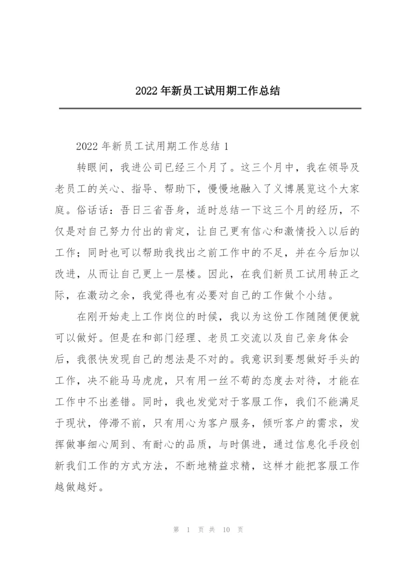 2022年新员工试用期工作总结.docx