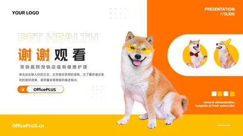 橙黄简洁宠物健康护理PPT模板
