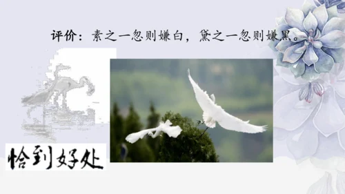 《1 白鹭》课件