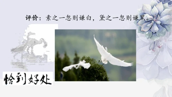《1 白鹭》课件