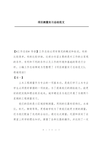 项目测量实习总结范文.docx