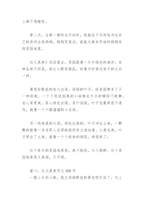 这儿真美作文300字(精选30篇).docx