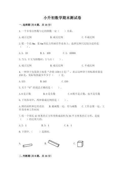 小升初数学期末测试卷精品（夺冠）.docx