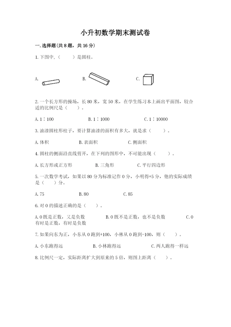 小升初数学期末测试卷（a卷）.docx