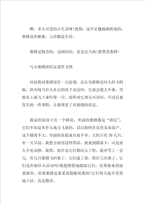 写小蜜蜂团结友爱作文