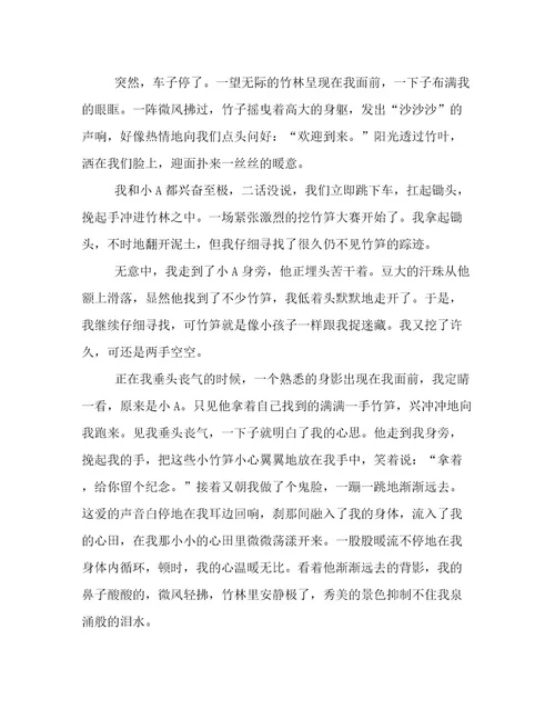 聆听爱的声音抒情作文800字