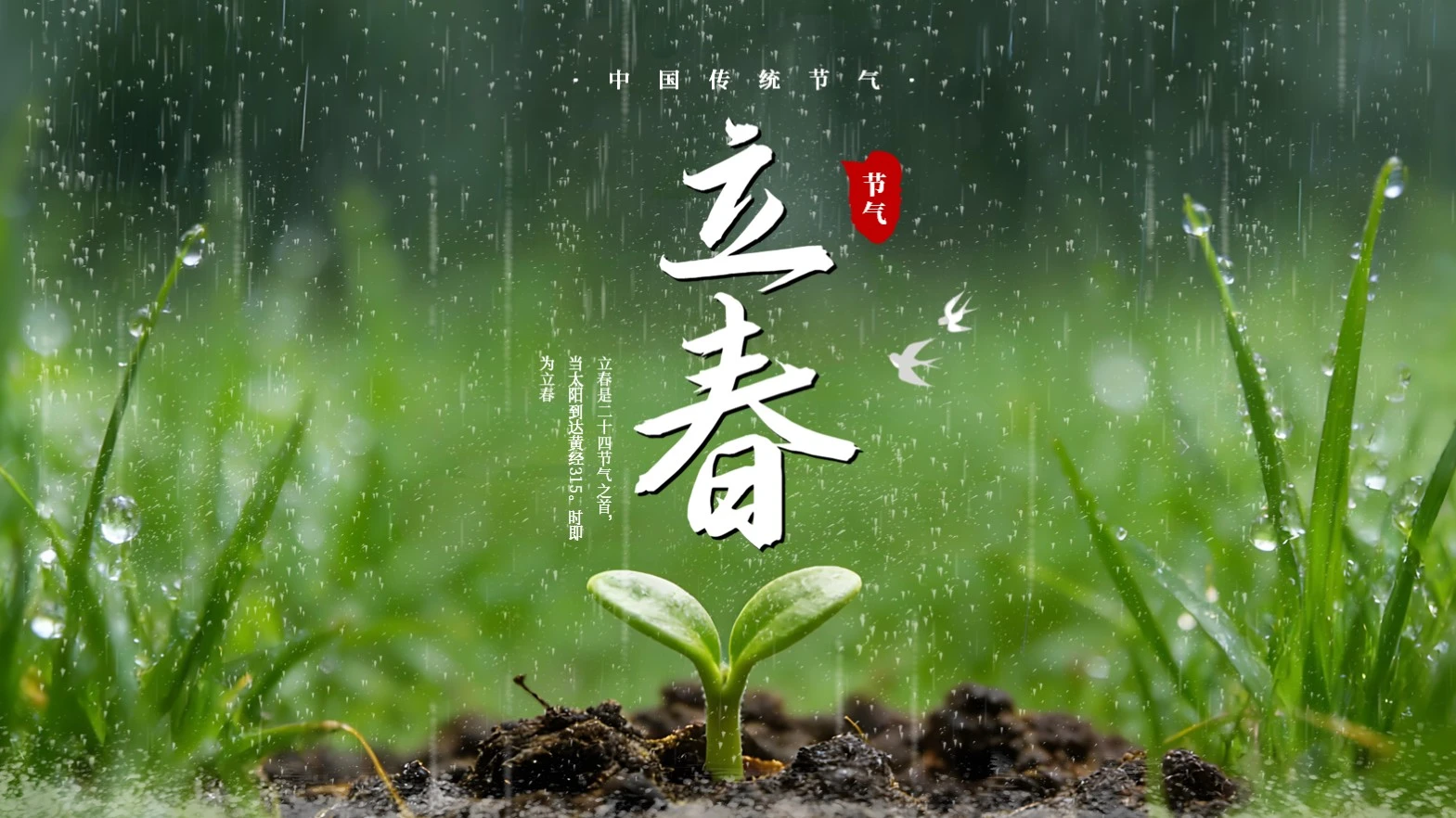 绿色小清新商务立春科普宣传通用模板