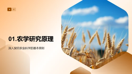 农科研究之旅