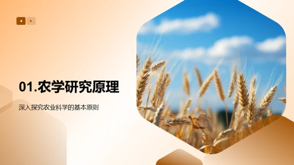 农科研究之旅