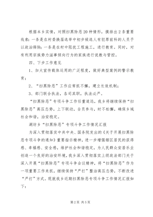 乡镇扫黑除恶专项斗争某年工作总结.docx