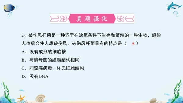 人教版八年级生物上册5.4《细菌和真菌》复习课件（含31张ppt）