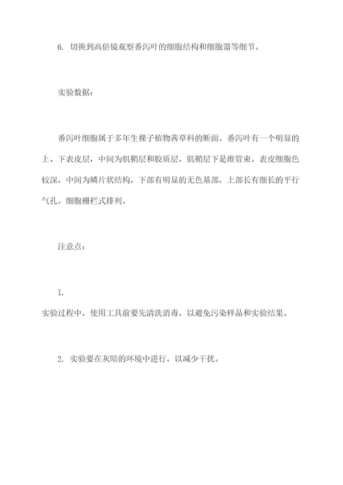 番泻叶显微镜实验报告