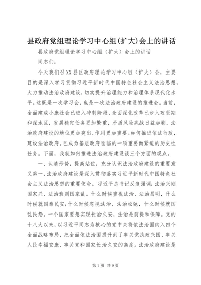 县政府党组理论学习中心组(扩大)会上的讲话.docx