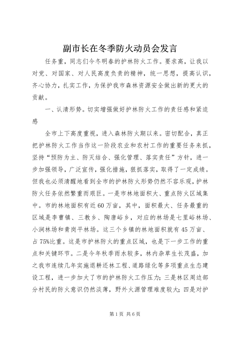 副市长在冬季防火动员会发言.docx