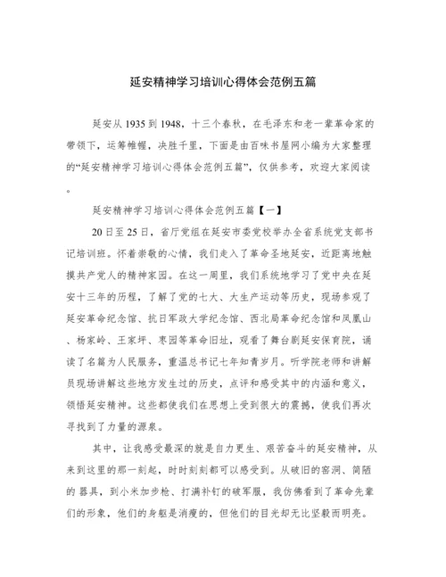 延安精神学习培训心得体会范例五篇.docx