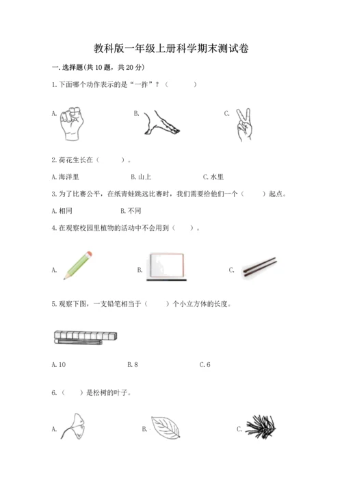 教科版一年级上册科学期末测试卷带答案.docx