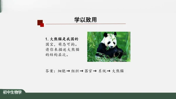2.2.2 动物体的结构层次 课件（共24张PPT）
