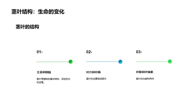 植物生长的奇妙之旅