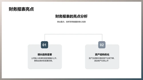 月度财务总结报告