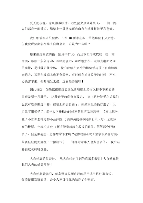 壁虎给人类带来的启示作文