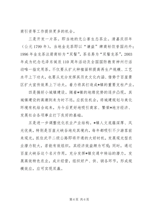 乡镇现状调研报告.docx