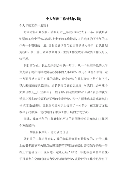 个人年度工作计划(5篇).docx