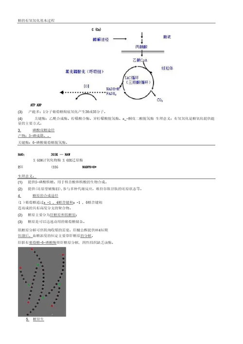 临床医学检验技师考试辅导之2019年检验技师精选体验课