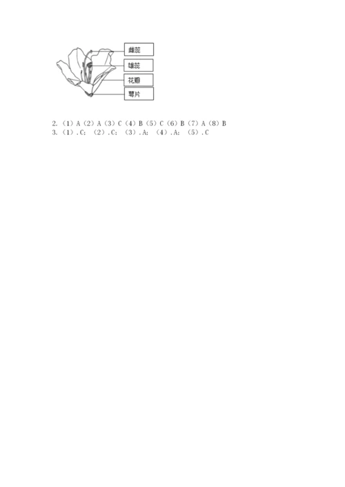 教科版四年级下册科学第一单元《植物的生长变化》测试卷精品【预热题】.docx