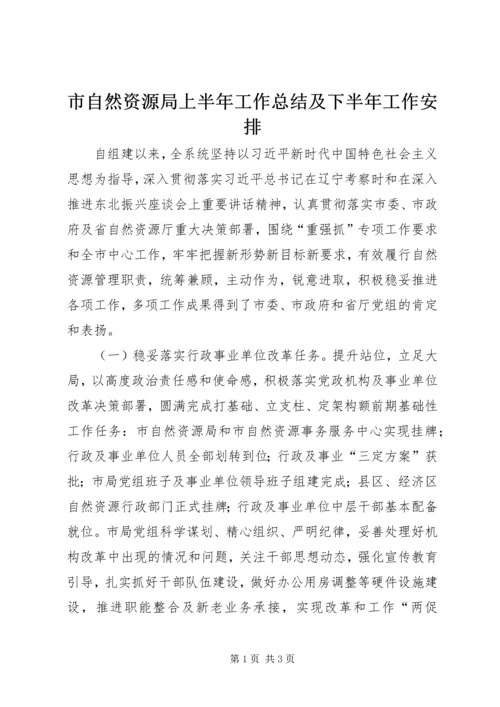 市自然资源局上半年工作总结及下半年工作安排.docx