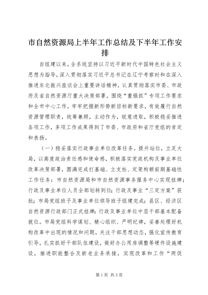 市自然资源局上半年工作总结及下半年工作安排.docx