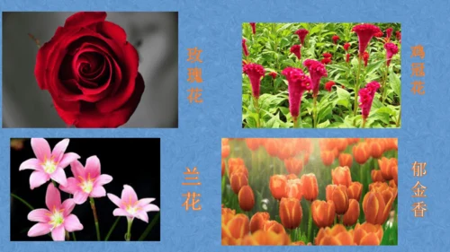 校园里的花（课件33页）-美术三年级上册人教版