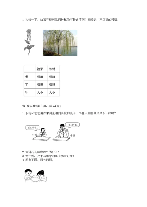 教科版一年级上册科学期末测试卷精品【名师系列】.docx