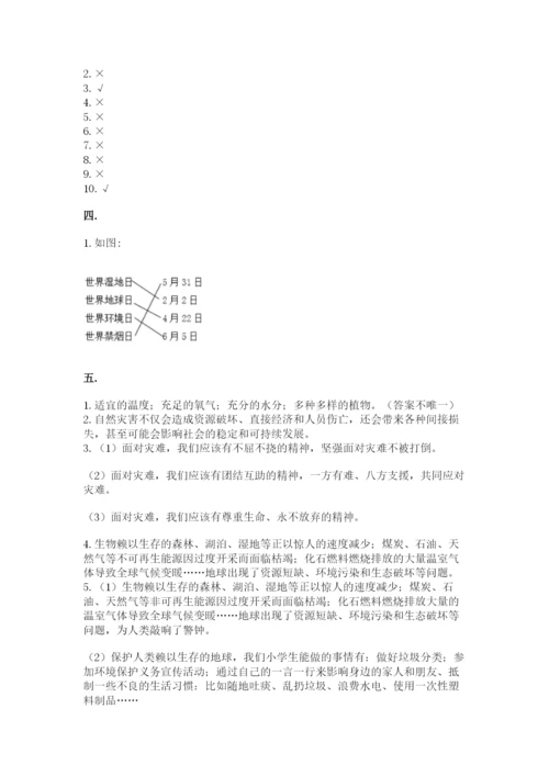 六年级下册道德与法治第二单元 爱护地球 共同责任 测试卷附答案（综合卷）.docx