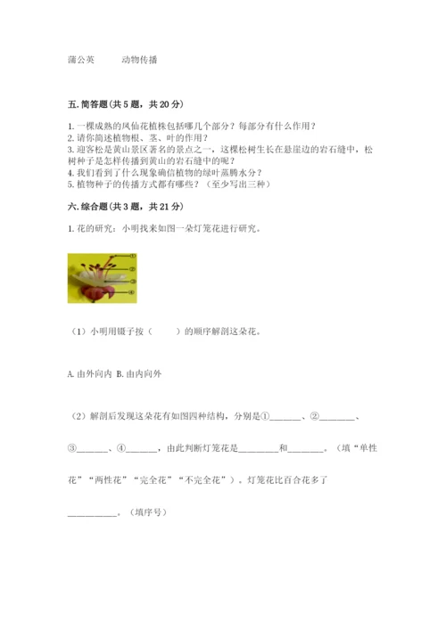 教科版科学四年级下册第一单元《植物的生长变化》测试卷（含答案）.docx