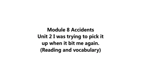 Unit 2 Reading and vocabulary-教学课件