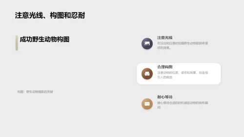 探索非洲野生动物之旅