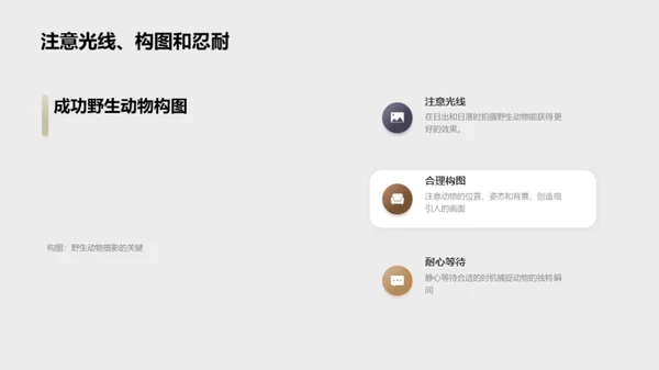 探索非洲野生动物之旅