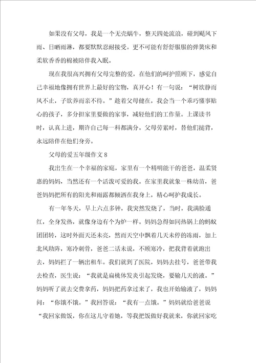 父母的爱五年级作文