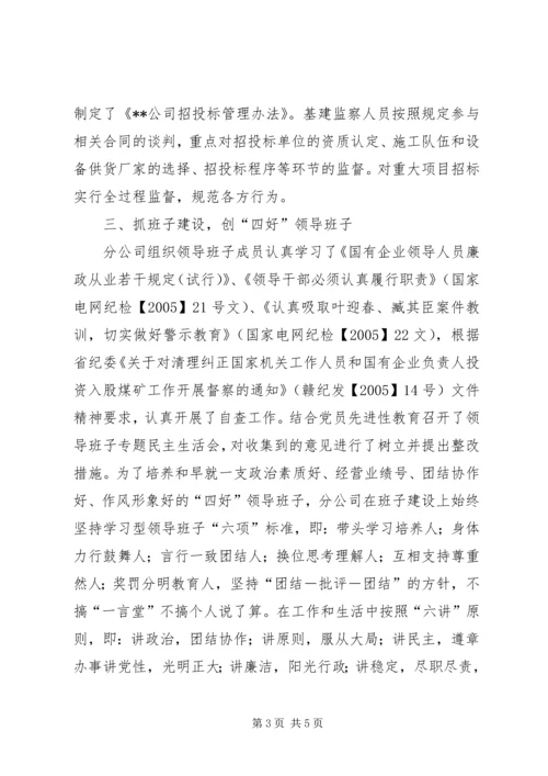 电力分公司党风廉政建设自查报告 (3).docx