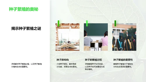探秘植物的生命之旅