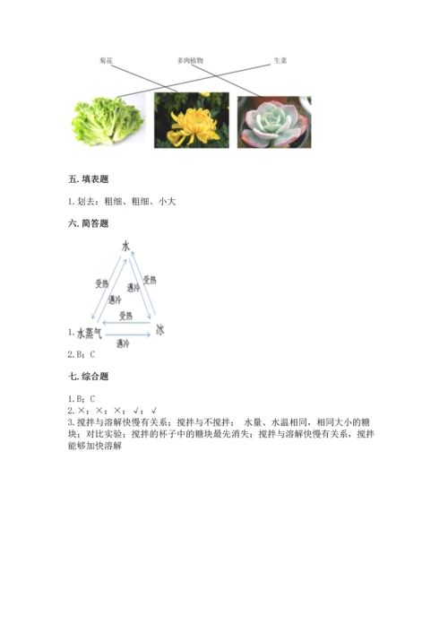 教科版科学一年级上册第一单元《植物》测试卷附完整答案（网校专用）.docx