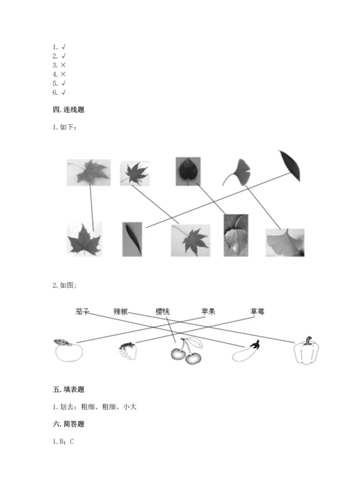 教科版科学一年级上册第一单元《植物》测试卷及答案（夺冠系列）.docx