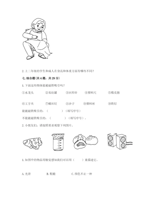 教科版二年级下册科学知识点期末测试卷word.docx