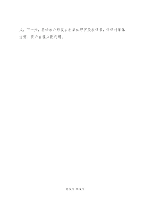 村级巡查汇报材料.docx