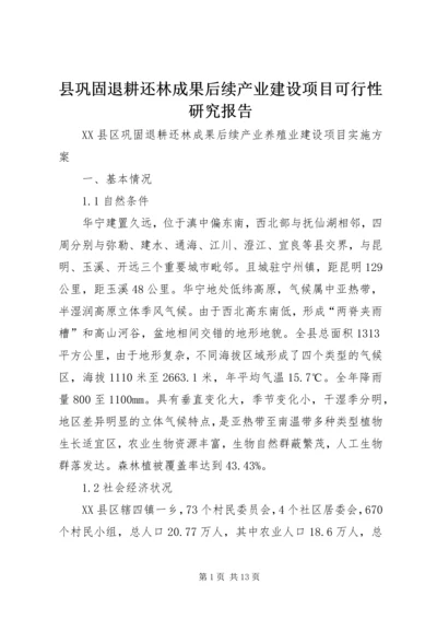 县巩固退耕还林成果后续产业建设项目可行性研究报告 (5).docx