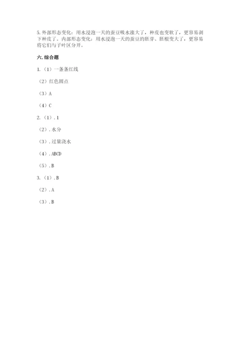 科学四年级下册第一单元《植物的生长变化》测试卷审定版.docx