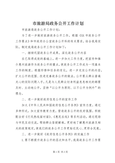 市旅游局政务公开工作计划 (3).docx