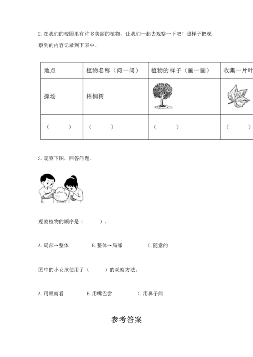 教科版小学一年级上册科学期末测试卷【全国通用】.docx