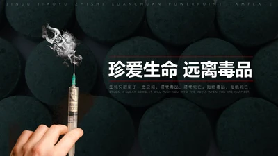 国际禁毒日珍爱生命远离罪恶通用PPT模板