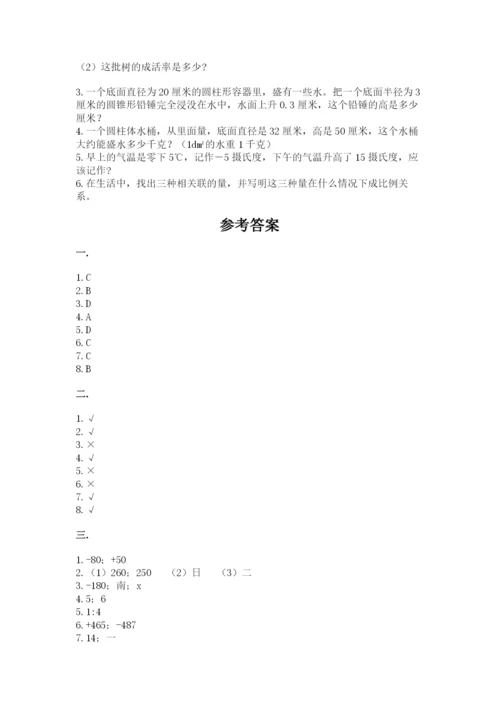 人教版小升初数学模拟试卷及参考答案ab卷.docx